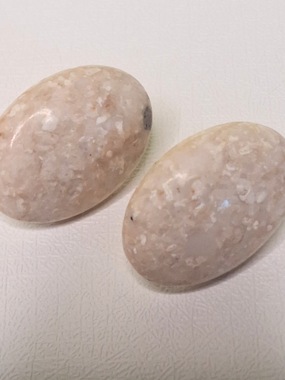 Oval Natural Stone Cabochon Pair Of Earrings Cream Beige